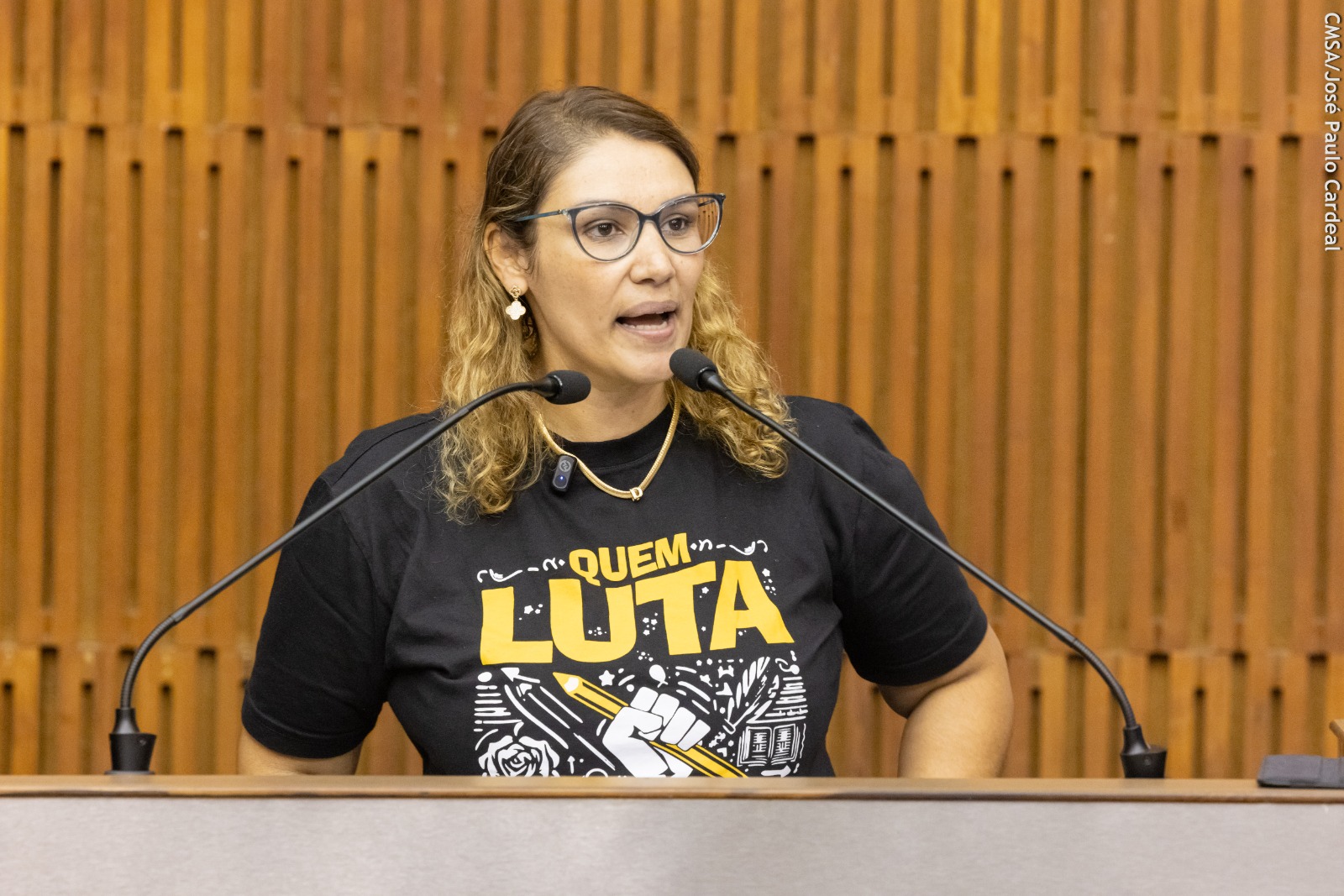 Imagem de ADIs são professores: Sindserv Santo André e Comissão realizam ato na Câmara Municipal